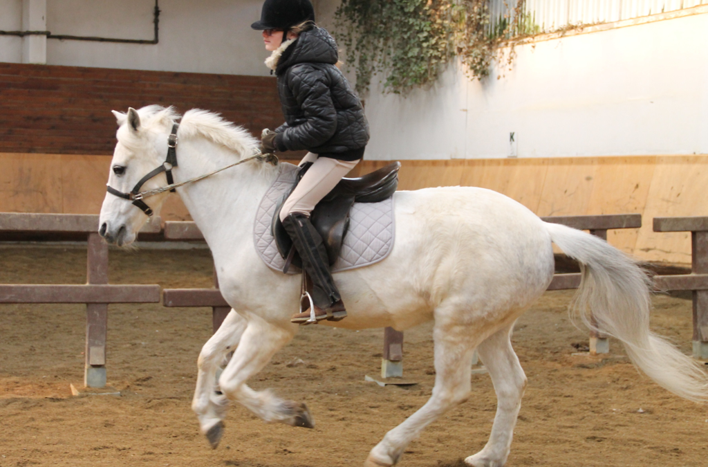 EQUITATION